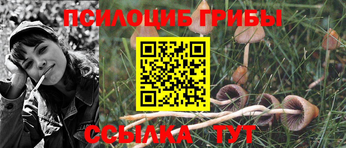 Ростов Великий  Псилоцибиновые грибы Magic Shrooms  Галлюциногенные грибы Cubensis  Вход с VPN 