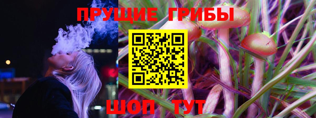 Псилоцибиновые грибы мицелий Ростов Великий